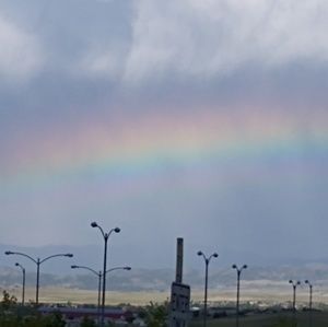 Meet your Posher, Jodi